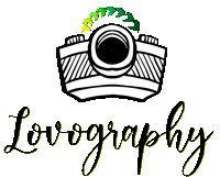 Lovography - Logo